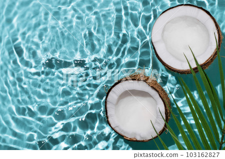 Summer background with coconuts on water background with water splashes. Creative summer background for design. Coconut cosmetics. Summer background with coconuts on water background with water splashes. Creative summer background for design. Coconut cosmetics. 103162827