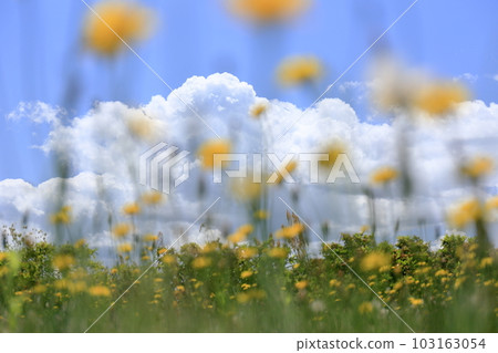 Cumulonimbus clouds and mountains in the spring blue sky 103163054