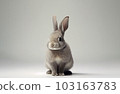 Front view of cute baby rabbits on white background , Little cute rabbits sitting with Lovely action on white, Generative Ai 103163783