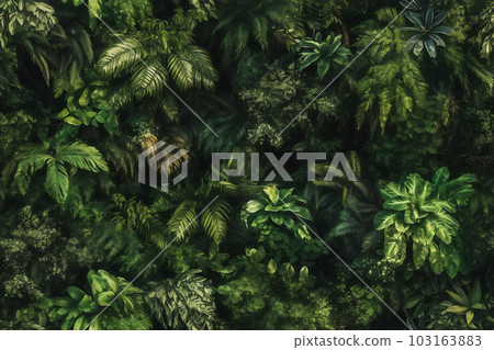 AI generative seamless tropical forest background 103163883
