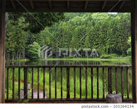 Early summer, Ryuogafuchi, Nara Prefecture 103164134