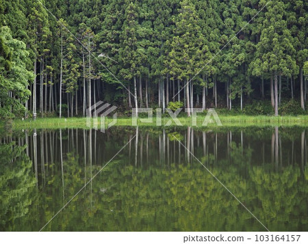 Early summer, Ryuogafuchi, Nara Prefecture Early summer, Ryuogafuchi, Nara Prefecture 103164157