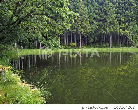 初夏,奈良縣龍河淵 初夏,奈良縣龍河淵 103164208