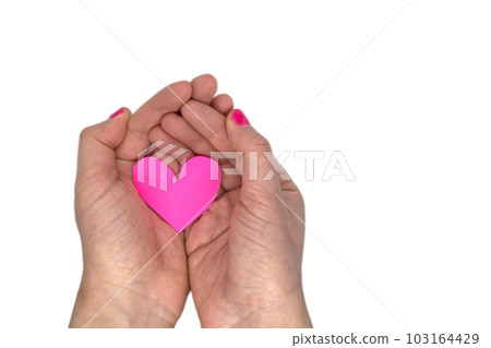 Paper heart in female hands. Paper heart in female hands. 103164429