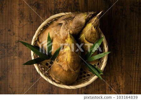 bambooshoot bambooshoot 103164839