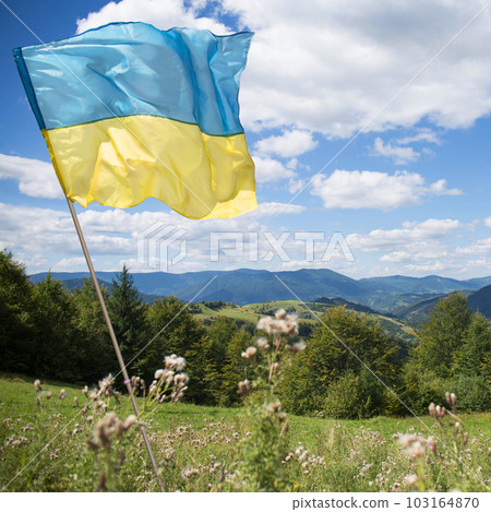 The blue yellow Ukrainian flag is flying over the Ukrainian Carpathian Mountains 103164870