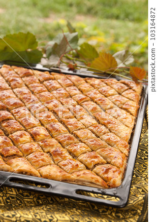 Homemade baklava with nuts and honey in the garden 103164872