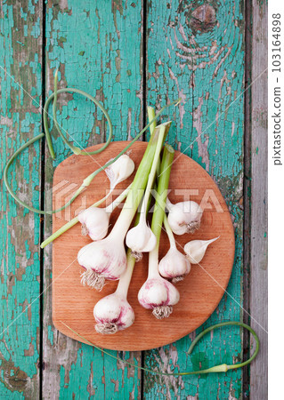 Fragrant garlic on the board Fragrant garlic on the board 103164898