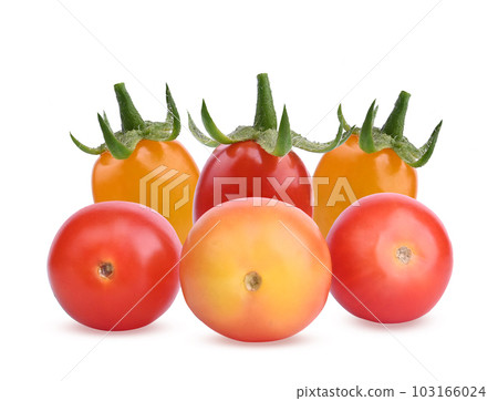 Fresh , red and yellow tomatoes isolated on white background. Fresh , red and yellow tomatoes isolated on white background. 103166024