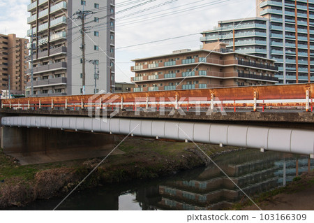 芝川中央橋 2023 103166309