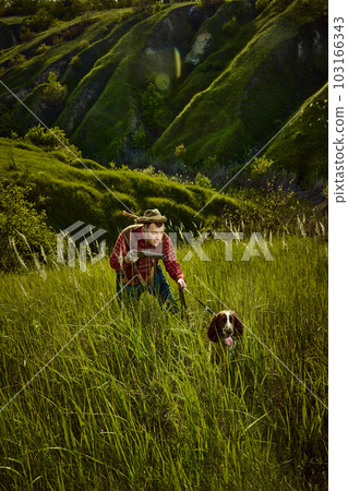 Obedient hunter dog English springer spaniel searching for prey with his owner near nature landscapes. People and animals friendship Obedient hunter dog English springer spaniel searching for prey with his owner near nature landscapes. People and animals friendship 103166343