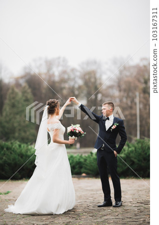 Happy beautiful newlyweds dancing in the park Happy beautiful newlyweds dancing in the park 103167311