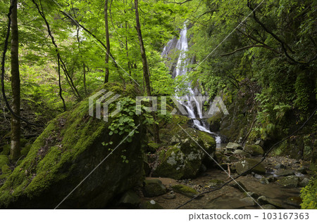 等等力瀑布（兵庫縣三方郡香美町） 103167363