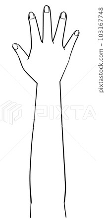 一隻手的黑白插圖 右手 103167748