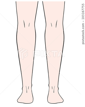 從後面看雙腿的插圖 103167755