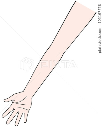 一隻手的插圖 右手 103167758