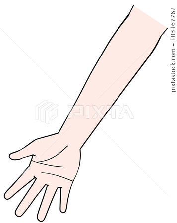 一隻手的插圖 右手 一隻手的插圖 右手 103167762