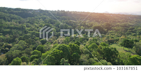 Green panoramic view in Santo Domingo Green panoramic view in Santo Domingo 103167851