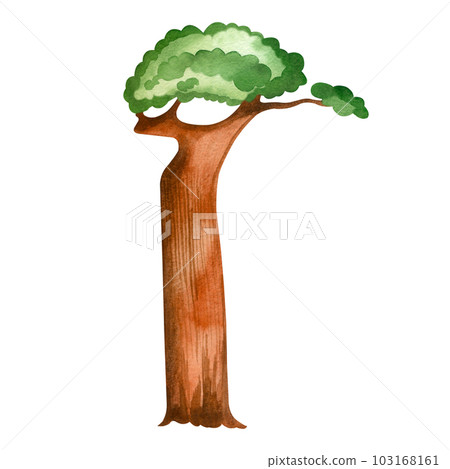 African baobab painted in watercolor and isolated on a white background. A tree with green foliage and a thick brown trunk. Suitable for printing on paper, fabric, scrapbooking and crafts 103168161