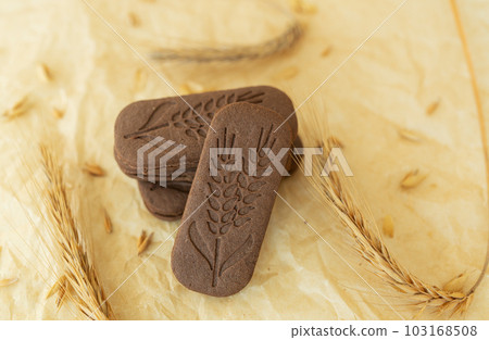 Close-up of a chocolate chip cookie imprinted with a branch of wheat on parchment. 103168508