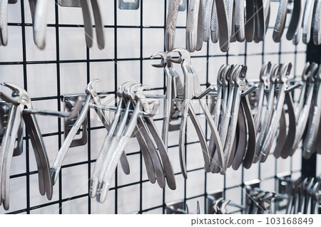 row of various stainless steel dental extraction forceps tools hanging on display 103168849