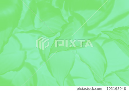 Abstractgreen background with leaf pattern in shades of green 103168948
