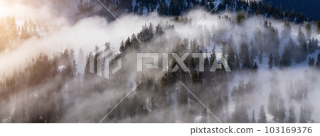 Green Trees on top of Canadian Mountain Landscape covered in Clouds. Green Trees on top of Canadian Mountain Landscape covered in Clouds. 103169376