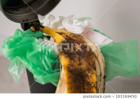 Food waste in Trash Can. Unsorted garbage. Food Waste is an Urgent Global Problem. Food loss is food that is discarded or lost uneaten. 103169450