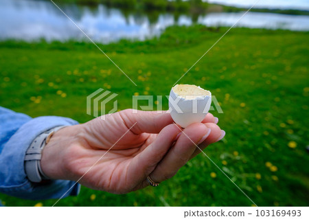 Wild bird's egg shell on a white female hand. 103169493