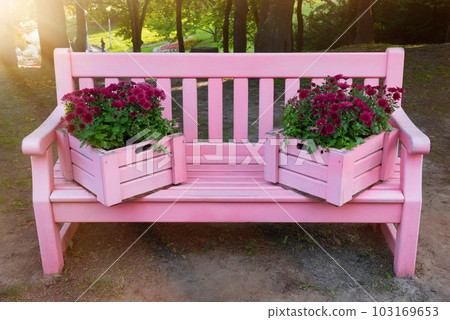 Pink bench in the park in the spring Pink bench in the park in the spring 103169653