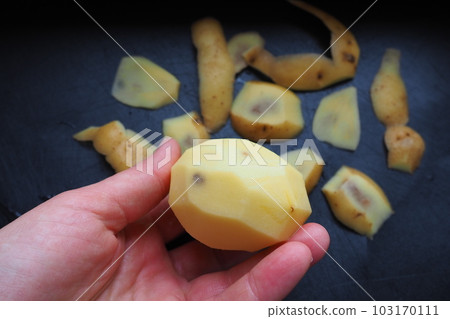 Fungal, viral or bacterial infection of the potato tuber. Dark spots inside the potato. Peeled raw potato with spots and a hole in a woman's hand. Food safety. The danger of farm natural products. Fungal, viral or bacterial infection of the potato tuber. Dark spots inside the potato. Peeled raw potato with spots and a hole in a woman's hand. Food safety. The danger of farm natural products. 103170111