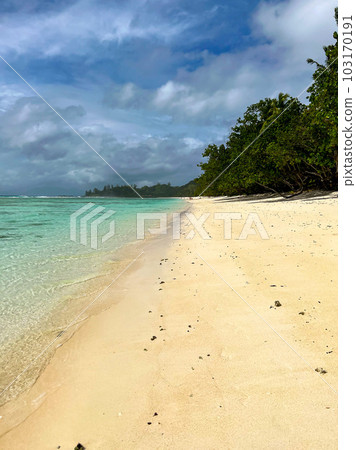 Tropical sandy beach on Silhouette island, Seychelles. High quality photo. Blue sky Tropical sandy beach on Silhouette island, Seychelles. High quality photo. Blue sky 103170191
