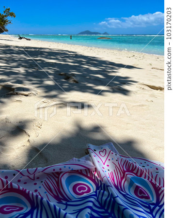 a tropical beach against the turquoise sea. High quality photo 103170203