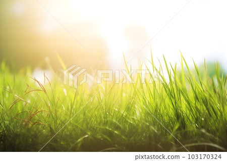 Green fresh grass natural background with copy space. Generative AI. Green fresh grass natural background with copy space. Generative AI. 103170324