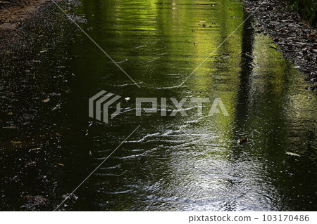 From Manai Shrine 103170486