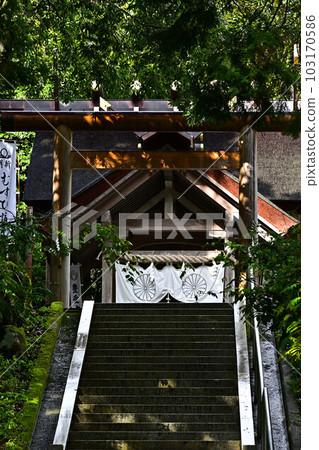 From Manai Shrine 103170586