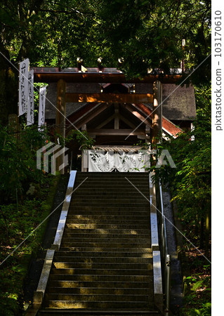 From Manai Shrine 103170610