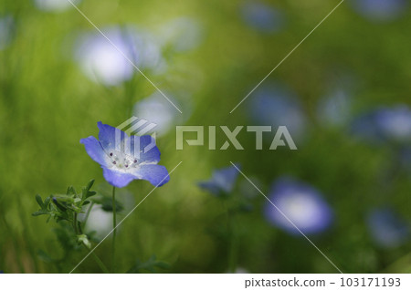 初夏的午後，藍天白雲，樹蔭下吹來一陣清爽的風。張開雙臂，深吸一口氣。 103171193