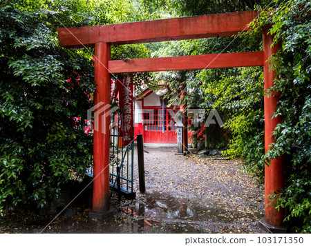 [Minomagari Naka Matsubara Shrine] Inari Shrine in the precincts 103171350