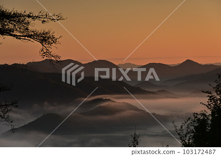 Sea of clouds from Yakami Castle Sea of clouds from Yakami Castle 103172487