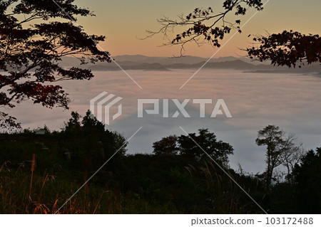 Sea of clouds from Yakami Castle 103172488