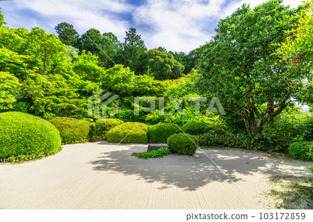 初夏的石森堂，定山寺景觀，清新的綠色花園，京都府京都市 103172859