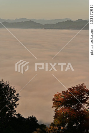 Sea of clouds from Yakami Castle Sea of clouds from Yakami Castle 103172913