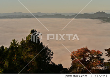 Sea of clouds from Yakami Castle 103172941