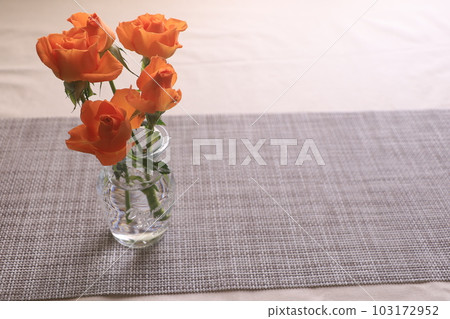 橙色迷你巴拉 103172952