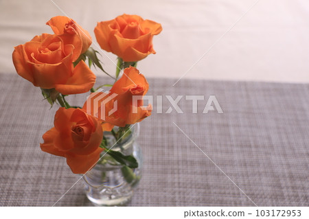 橙色迷你巴拉 103172953