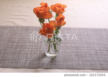 橙色迷你巴拉 103172954