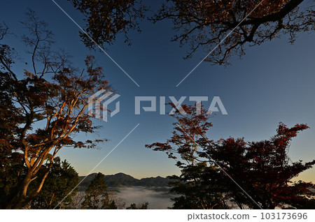 Sea of clouds from Yakami Castle 103173696