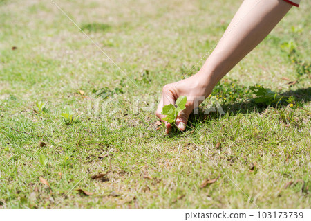 Hand photo of a woman tending the garden Hand photo of a woman tending the garden 103173739