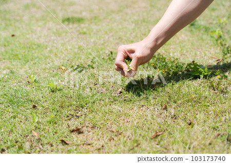 Hand photo of a woman tending the garden 103173740